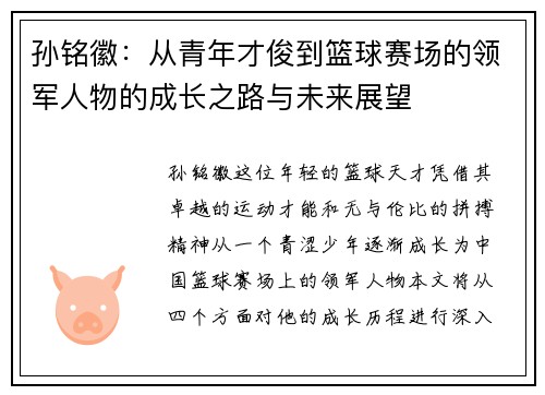 孙铭徽：从青年才俊到篮球赛场的领军人物的成长之路与未来展望