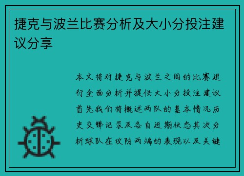 捷克与波兰比赛分析及大小分投注建议分享