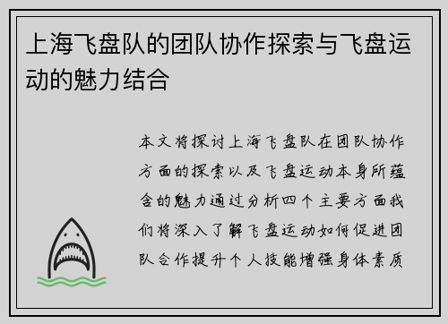 上海飞盘队的团队协作探索与飞盘运动的魅力结合