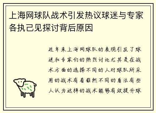 上海网球队战术引发热议球迷与专家各执己见探讨背后原因