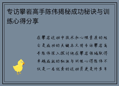专访攀岩高手陈伟揭秘成功秘诀与训练心得分享