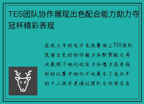 TES团队协作展现出色配合能力助力夺冠杯精彩表现